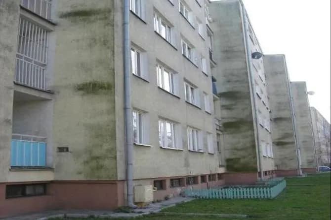 Dlaczego elewacja zielenieje? Odkryj przyczyny i skutki zanieczyszczeń