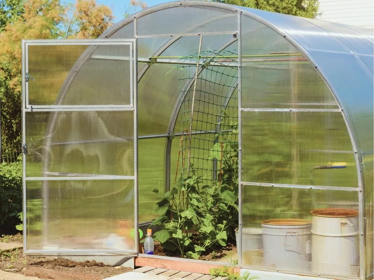 Czy poliwęglan przepuszcza UV? Odkryj jego właściwości ochronne